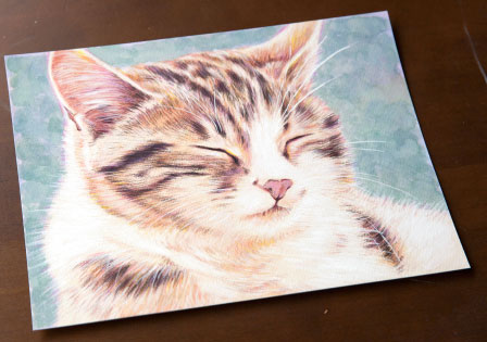 まどろむ猫|a044|【ギャラリー笑夢】☆動物アート販売.アクリル画製作