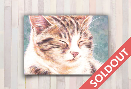 まどろむ猫|a044|【ギャラリー笑夢】☆動物アート販売.アクリル画製作