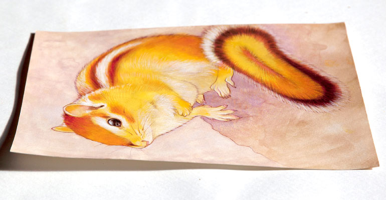 yellow squirrel iS IWi A[g ̔ G AN  s,