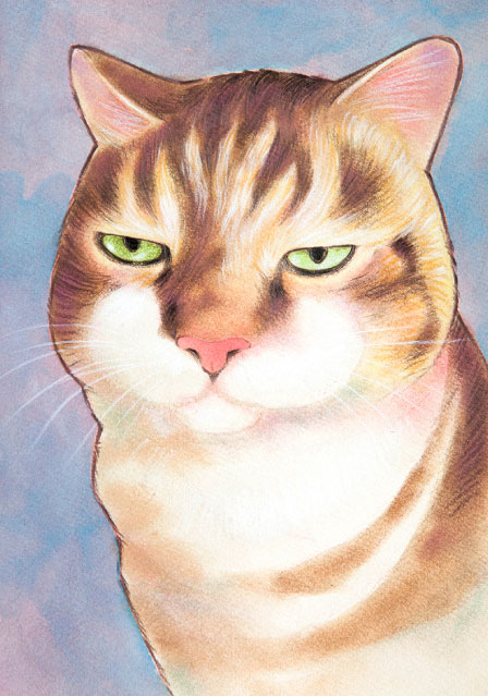 茶々丸 絵画,アート,猫,にゃんこ,ねこちゃん,ブサ猫,新築祝,開店祝,贈答品,猫マニアのアートです。長野県,長野市,松本市,上田市,岡谷市,飯田市,諏訪市,須坂市,小諸市,伊那市,駒ヶ根市,中野市,大町市,飯山市,茅野市,塩尻市,佐久市,千曲市,東御市,安曇野市