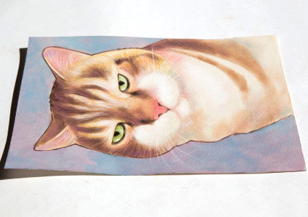 茶々丸 作品全体 オリジナル アート 絵画 アクリル画 風水画 長野県,松本市,上田市