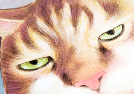 茶々丸 作品の拡大写真 タッチの確認 オリジナル アート 絵画 アクリル画 風水画 長野県,松本市,上田市