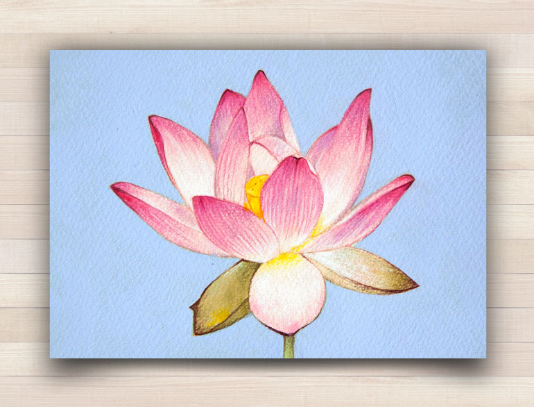 ���̗\�� �s���N�̘@,�Ԃ̊G��,�s���N�̊G,���F�̊G,�Õ���̃A�[�g�ł��B����s,�։�s,���l�s,���s,���R�s,�I�]�s,�����s,�z�O�s,���s