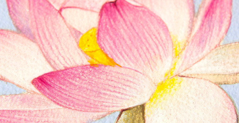 ���̗\�� ��i�̊g��ʐ^ �^�b�`�̊m�F �I���W�i�� �A�[�g �̔� �G�� �A�N������ ������ ���䌧,����s,�։�s,���l�s