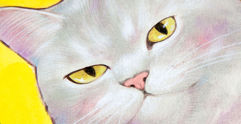 �푾�Y ��i�̊g��ʐ^ �^�b�`�̊m�F �I���W�i�� �A�[�g �̔� �G�� �A�N������ ������ ���{,���s,��s,�����s,�����s,�L���s